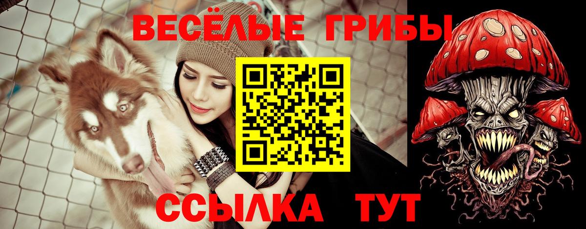Корсаков  Псилоцибиновые грибы GOLDEN TEACHER  Вход с VPN  Псилоцибиновые грибы Magic Shrooms 